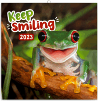 Realsystem 300 x 600mm 2023-as falinaptár - Keep smiling