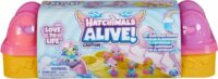 Hatchimals: Alive! tojástartó 6 mini figurával - Zenekar