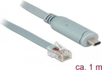 Delock 89893 USB-C apa - RS-232 RJ45 apa Átalakító Adapter Kábel 1m - Szürke