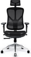 Diablo Chairs V-Basic Gamer szék - Fekete